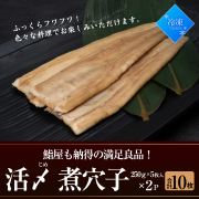活〆　煮穴子　鮨屋も納得の満足良品【田清魚店】