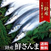【大船渡産】産地直送 鮮さんま ６種から選べるサイズと尾数