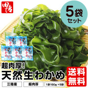 超肉厚 天然生わかめ 150g×5袋 （塩蔵） 岩手県産 北三陸・洋野町産 【送料無料】