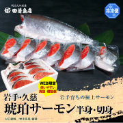 【GIFT】琥珀サーモン 岩手久慈　【ご贈答】【田清魚店】