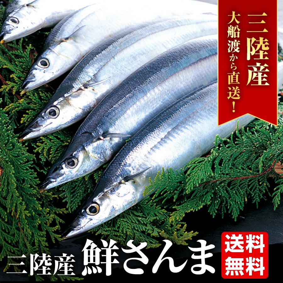 【大船渡産】産地直送 鮮さんま ６種から選べるサイズと尾数
