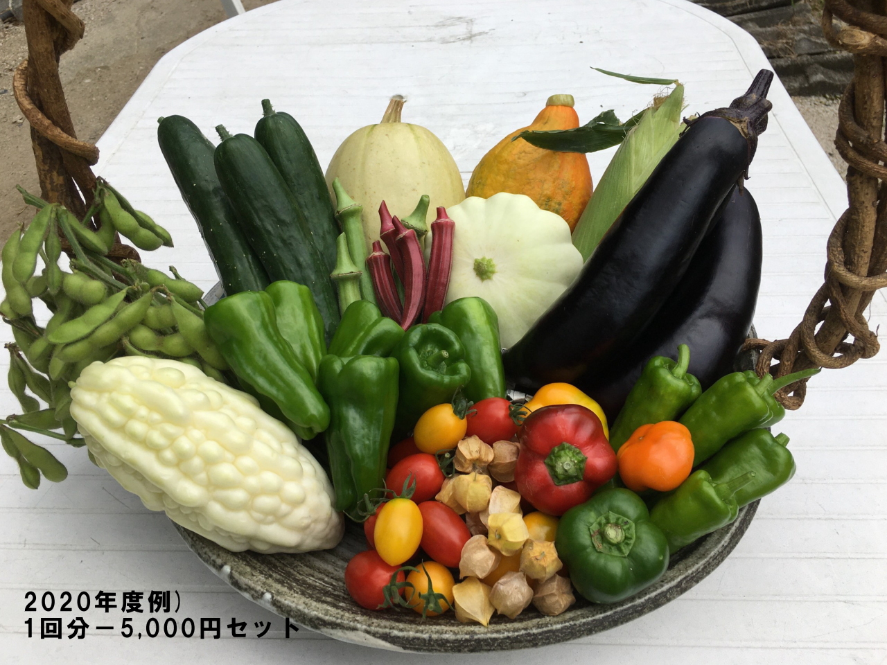 野菜の目利きが贈る野菜set［年２回］