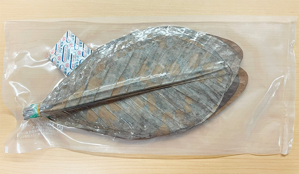 朴葉
