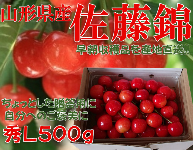 14【贈答用に最適!!】朝もぎ産直　山形県産さくらんぼ 佐藤錦 秀品 L玉 500g 表面手詰