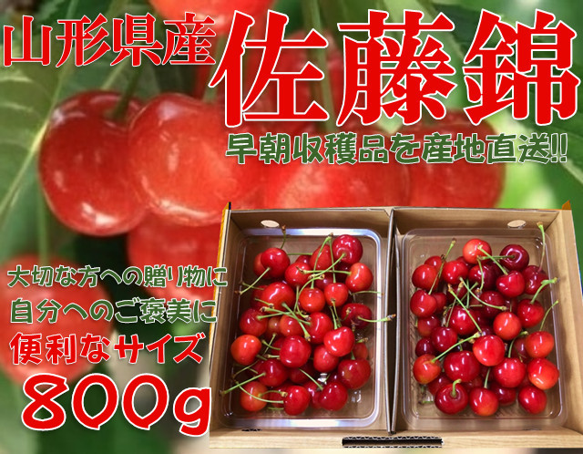 15【お手軽サイズで独り占め】山形県産さくらんぼ 佐藤錦 秀品 L玉 バラ詰 800g 【絶賛予約受付中!!】