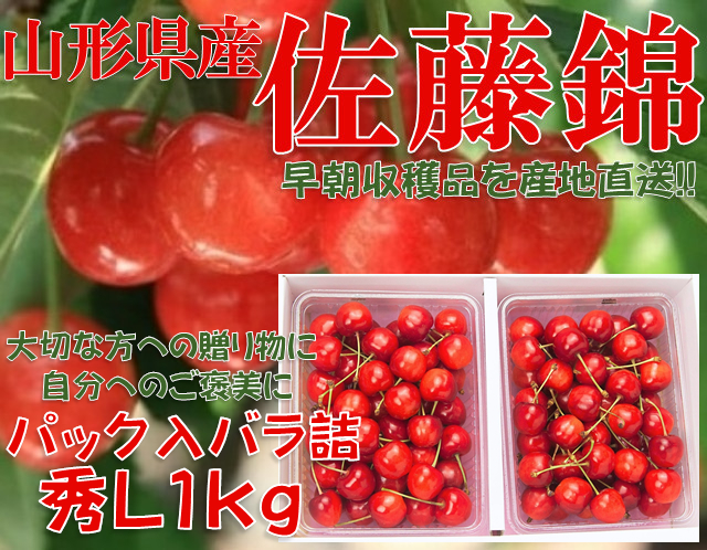 17【贈答用に最適!!】朝もぎ産直　山形県産さくらんぼ 佐藤錦 秀品 L玉 1kg バラ詰