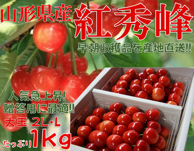 10【7月上旬より発送】朝もぎ産直　山形県産さくらんぼ 紅秀峰 秀品 L.2L玉 1kg 表面手詰 【絶賛予約受付中!!】