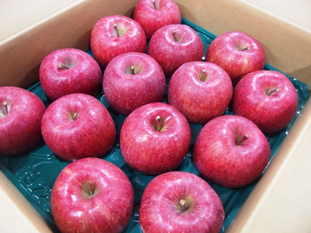 山形県産りんご　10kg  32～36玉　特秀品　贈答用　