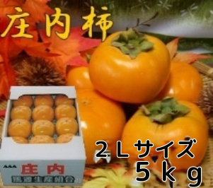 《送料無料》 《ご贈答用に》山形県鶴岡産庄内柿　秀品 2L 5kg (24玉入)《好評予約受付中!!》