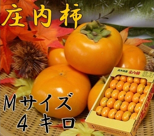 《送料無料》《お買い得品!》 山形県鶴岡産庄内柿　M玉 4kg (24～26玉) 《好評予約受付中!!》