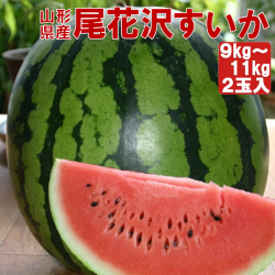 《送料無料》特大!! 山形県産 尾花沢すいか 縞無双HG 4.5L 秀品 2玉入（9～11kg）　