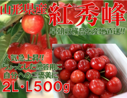 山形県産さくらんぼ 紅秀峰 秀品 2L 500g 表面手詰 贈答 ギフト