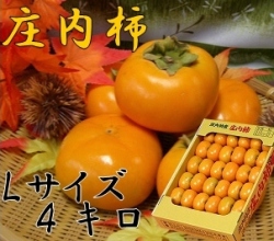 《送料無料》《お買い得品!》 山形県鶴岡産庄内柿 L玉 4kg (22～23玉) 《好評予約受付中!!》