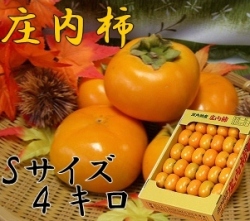 《送料無料》《お買い得品!》 山形県鶴岡産庄内柿 S玉 4kg (28～30玉以上) 《好評予約受付中!!》