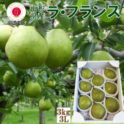 《送料無料!》 GI登録 山形ラ・フランス 3Ｌ玉 3kg（9玉入） 贈答 ギフト《予約受付中!》