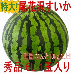 《送料無料》超特大!!　山形県産　尾花沢すいか　縞無双HG ６L　秀品　１玉入（11kg以上）　　