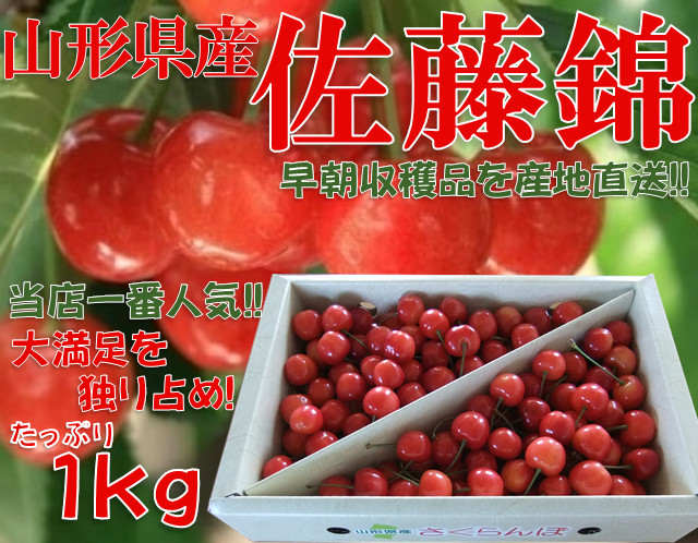 05【お買い得品】山形県産さくらんぼ 佐藤錦 M・L 1kg バラ詰 【まだ間に合う!!】