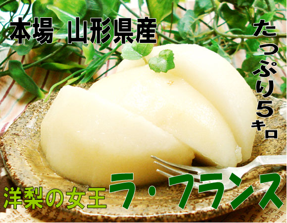 《送料無料!》 山形県上山産　濃厚ラ・フランス 4Ｌ玉 5kg(14個入) 贈答《予約受付中!》