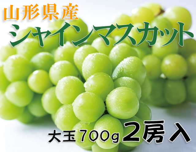 《送料無料》 山形県産 シャインマスカット 大玉 700ｇ前後 2房入 種なし葡萄《贈答用に最適》《大人気!!》