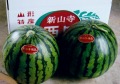《送料無料》特大!!　山形県産　尾花沢すいか　縞無双HG 2L　秀品　2玉入（7kg以上）　