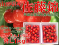 17【贈答用に最適!!】朝もぎ産直　山形県産さくらんぼ 佐藤錦 秀品 L玉 1kg バラ詰