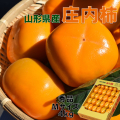 《送料無料》《お買い得品!》 山形県鶴岡産庄内柿　M玉 4kg (24～26玉)  訳無し《好評予約受付中!!》