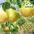 《送料無料!》山形県上山産　濃厚ラ・フランス 2Ｌ玉 5kg(18個入)  贈答《予約受付中!》