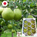 《送料無料!》 GI登録 山形ラ・フランス 3Ｌ玉 3kg（9玉入） 贈答 ギフト《予約受付中!》