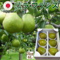 《送料無料!》 GI登録 山形ラ・フランス 6Ｌ玉 3kg（6玉入） 超大玉 贈答 ギフト《予約受付中!》