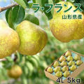 《送料無料!》 山形県上山産　濃厚ラ・フランス 4Ｌ玉 5kg(14個入) 贈答《予約受付中!》