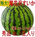 《送料無料》超特大!!　山形県産　尾花沢すいか　縞無双HG ６L　秀品　１玉入（11kg以上）　　