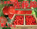 01【贈答用に最適!!】朝もぎ産直　山形県産さくらんぼ 佐藤錦 秀品 L玉 1kg 表面手詰