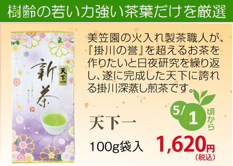 新茶【深蒸し掛川茶】天下一（てんかいち）100ｇ袋入り【天下に誇れる新茶】【発送：2026年5月1日頃から】