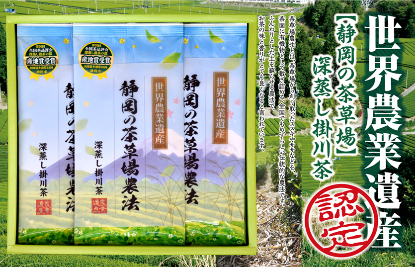 【新茶】世界農業遺産【静岡の茶草場農法】深蒸し掛川茶100ｇ3袋セット【発送：2026年5月10日頃から】【ラッピング有り】