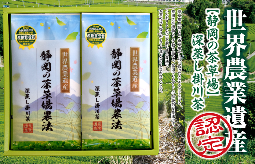 【新茶】世界農業遺産【静岡の茶草場農法】深蒸し掛川茶100ｇ2袋セット【発送：2026年5月10日頃から】【ラッピング有り】
