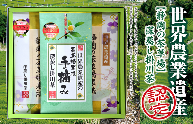 父の日ギフト【世界農業遺産】静岡の茶草場農法【手摘み】掛川茶60g×1袋・【深蒸し】掛川茶100g×2袋セット【ラッピング有り】【仕上予定日：2024年5月8日頃から】