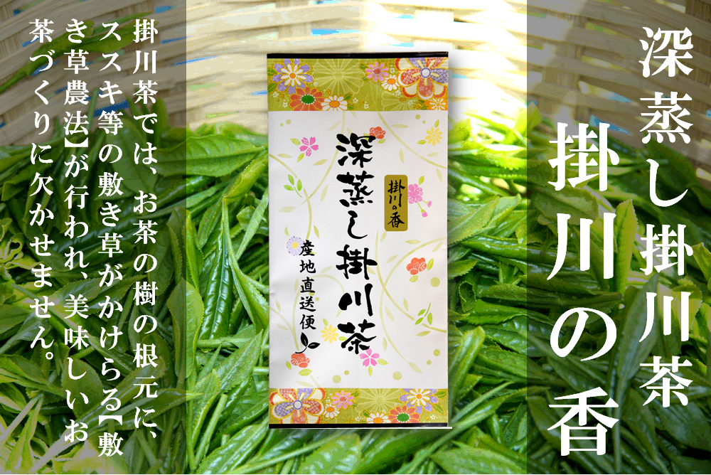 深蒸し掛川茶（緑茶） 掛川の香（かおり）100ｇ袋入