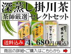 【静岡茶】深蒸し掛川茶セレクトセット【茶師厳選】初めての方・色々試したい方におすすめ【送料込み※沖縄離島は別途】