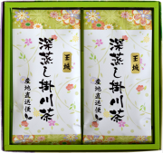 深蒸し掛川茶の王城100ｇ2袋セット