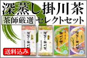 【静岡茶】深蒸し掛川茶セレクトセット【茶師厳選】初めての方・色々試したい方におすすめ【送料込み※沖縄離島は別途】ポスト投函（代金引換不可）