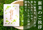 新茶のご挨拶【新茶ちょこっとパック】深蒸し掛川茶8g袋入【ご挨拶・粗品・少量パック】【発送：2026年5月4日頃から】