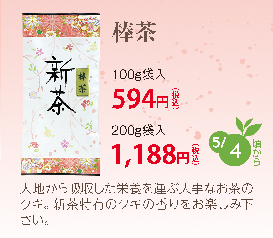 【新茶】茎茶（くき茶・棒茶）100g・200g・500ｇ【静岡産地直送・お取り寄せ・通販】静岡県掛川産【発送：2026年5月4日頃から】