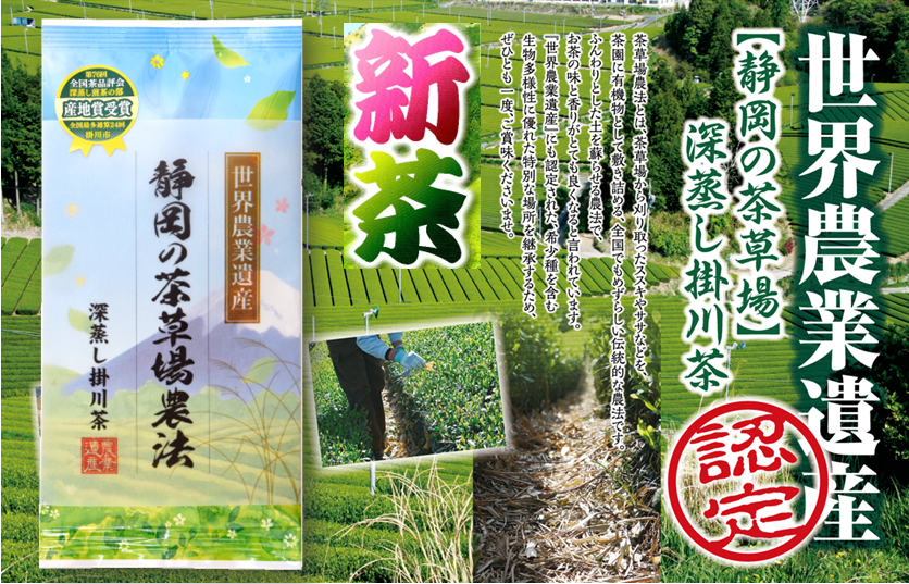 【新茶】世界農業遺産【静岡の茶草場農法】深蒸し掛川茶100ｇ袋入り【産地直送・通販】【発送：2026年5月10日頃から】