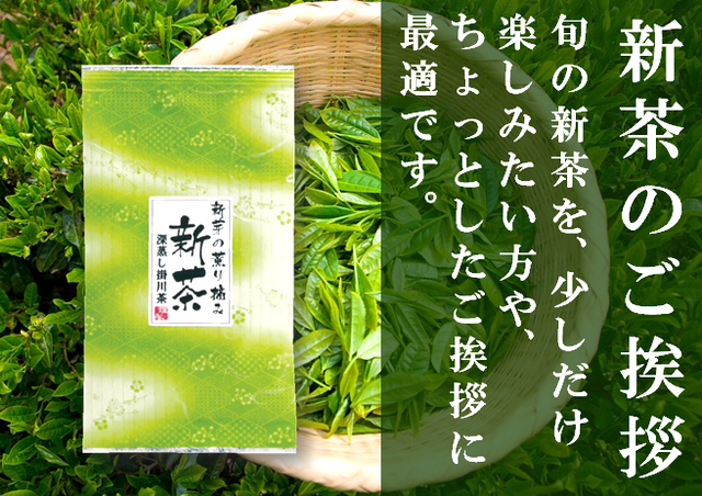 ご挨拶・粗品に最適な新芽の薫り摘新茶40ｇ袋入