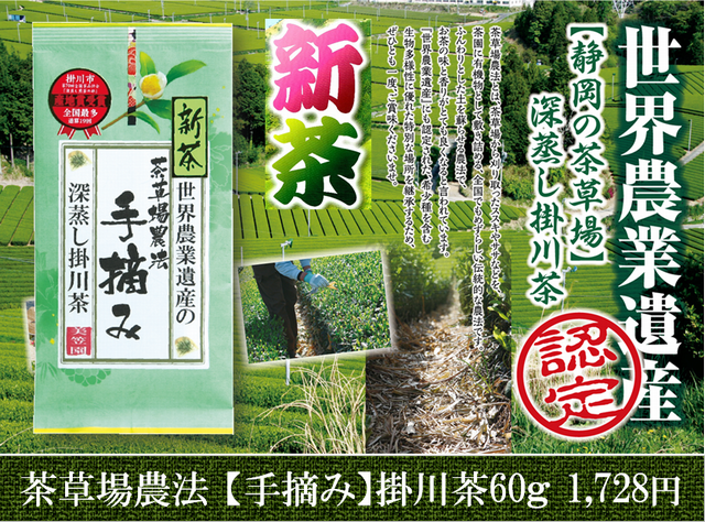 【新茶】静岡の茶草場農法【手摘み】掛川茶60ｇ