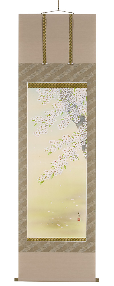 桜　橋谷和樹（直筆）　掛軸（掛け軸）