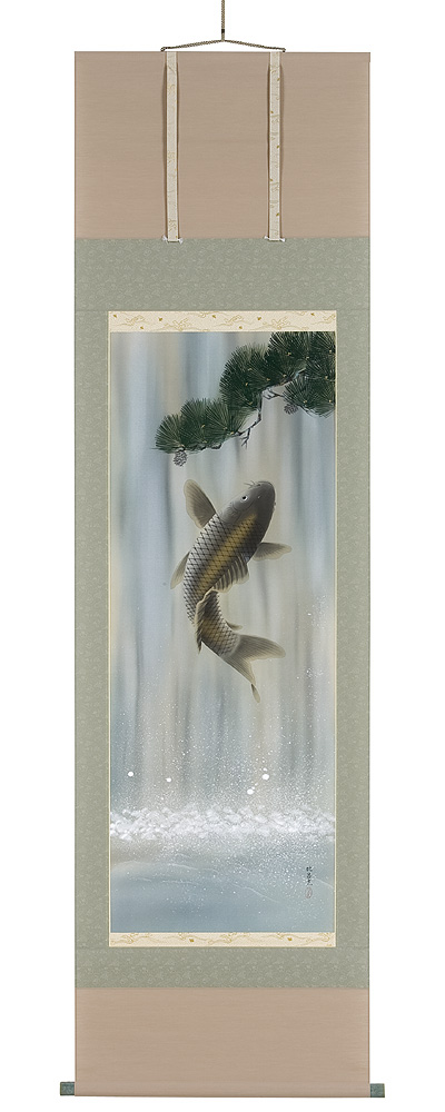 滝登鯉　河合比呂志（直筆） の掛軸（掛け軸）