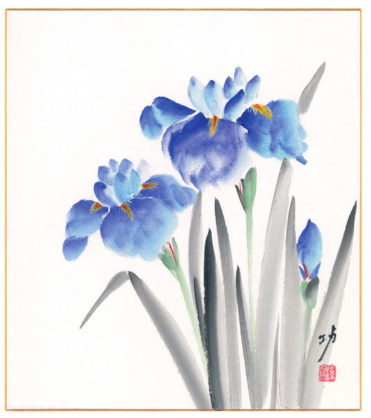 菖蒲　秋田　功【直筆作品】