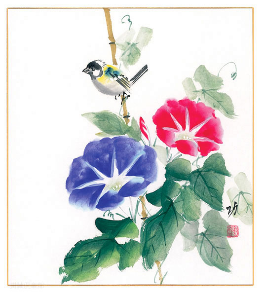 朝顔　秋田　功【直筆作品】