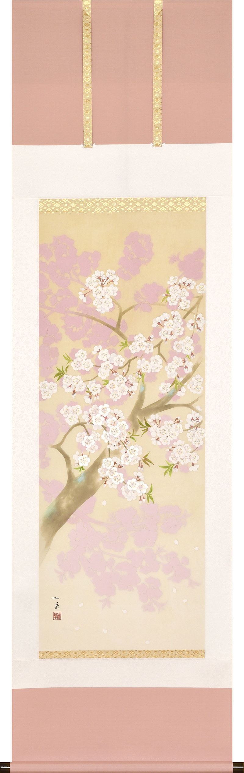 A1182 白木加葉 桜花壮麗 尺五立
